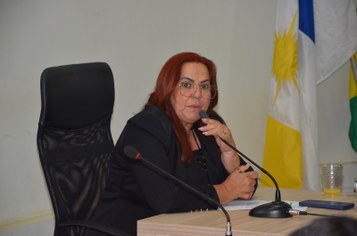 Vereadora Rozângela Mecenas